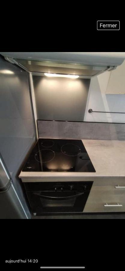 Des Cigognes Appartement *